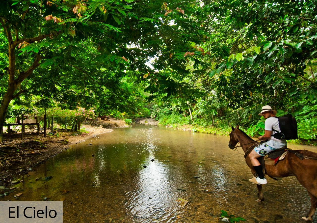 Tacarcuna Lodge Capurganá Kültér fotó