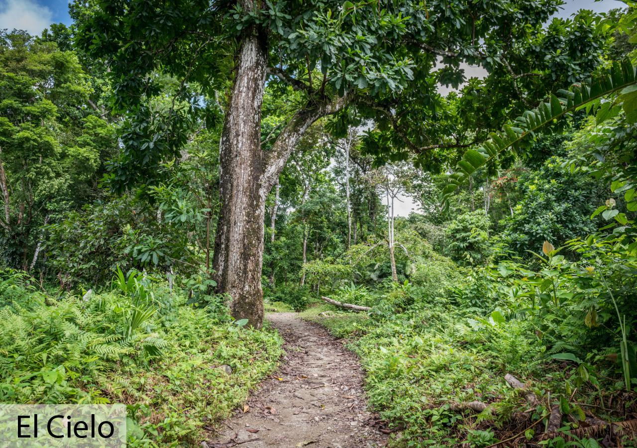 Tacarcuna Lodge Capurganá Kültér fotó