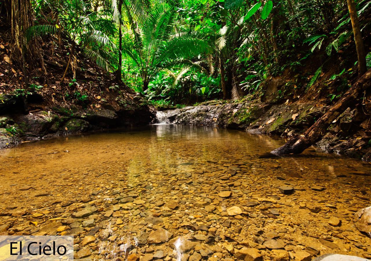 Tacarcuna Lodge Capurganá Kültér fotó